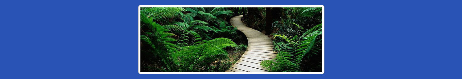 Evelyn Goodman, Psy.D., LMFT